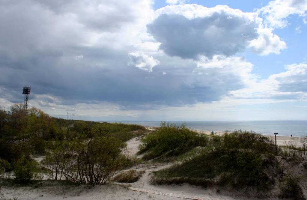 Autors: Aigars Štāls