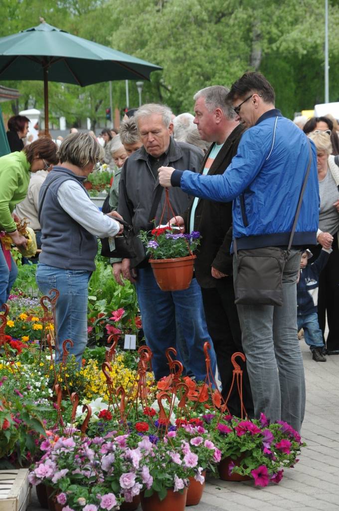 Autors: Dainis Ģelzis