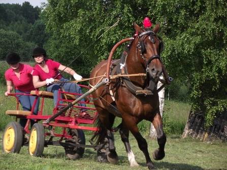 Autors: www.pajugubrauksana.com