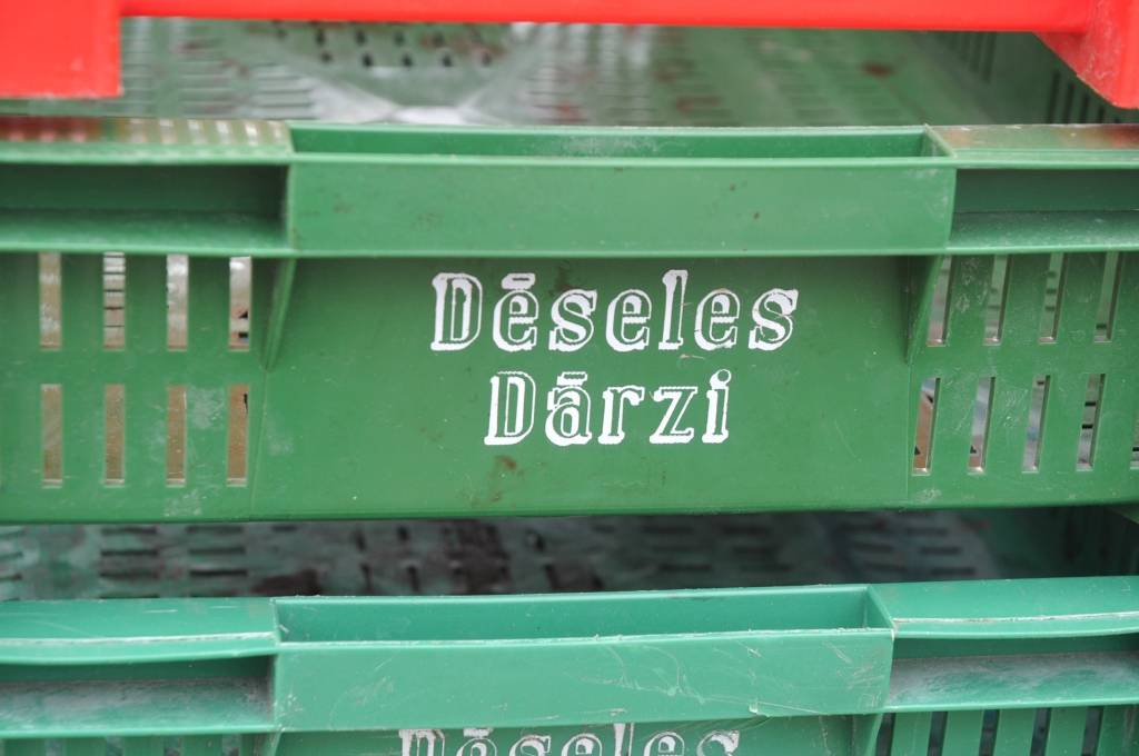 Autors: Dainis Ģelzis