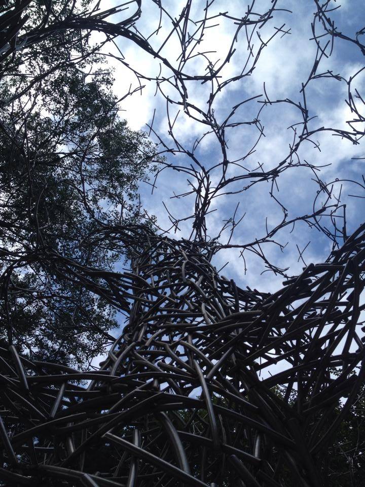 Autors: Maija Kalniņa/facebook