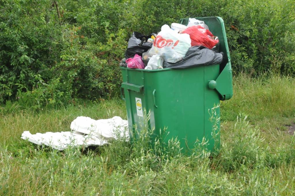 Autors: Dainis Ģelzis