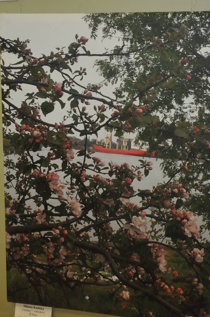 Autors: Dainis Ģelzis