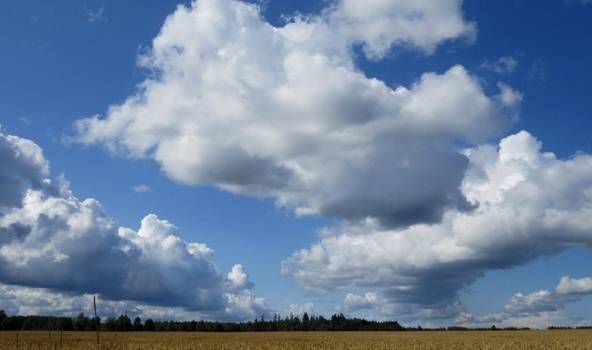 Autors: meteolapa.lv