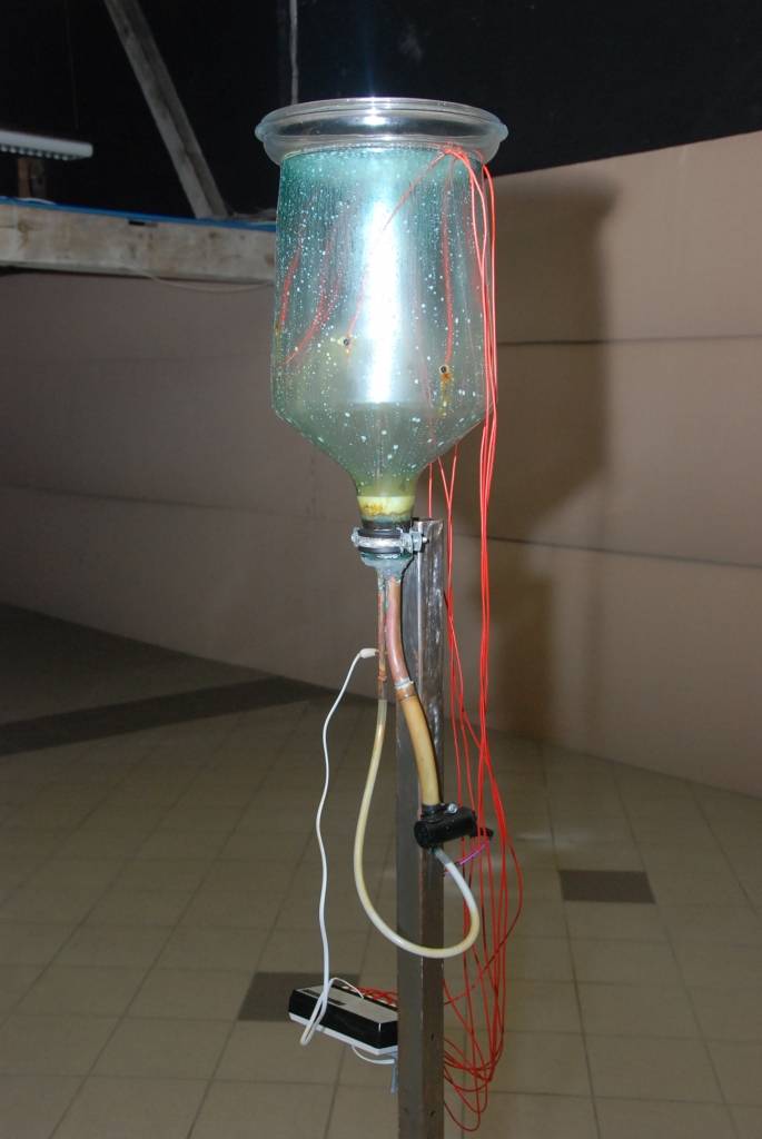 Autors: Dainis Ģelzis