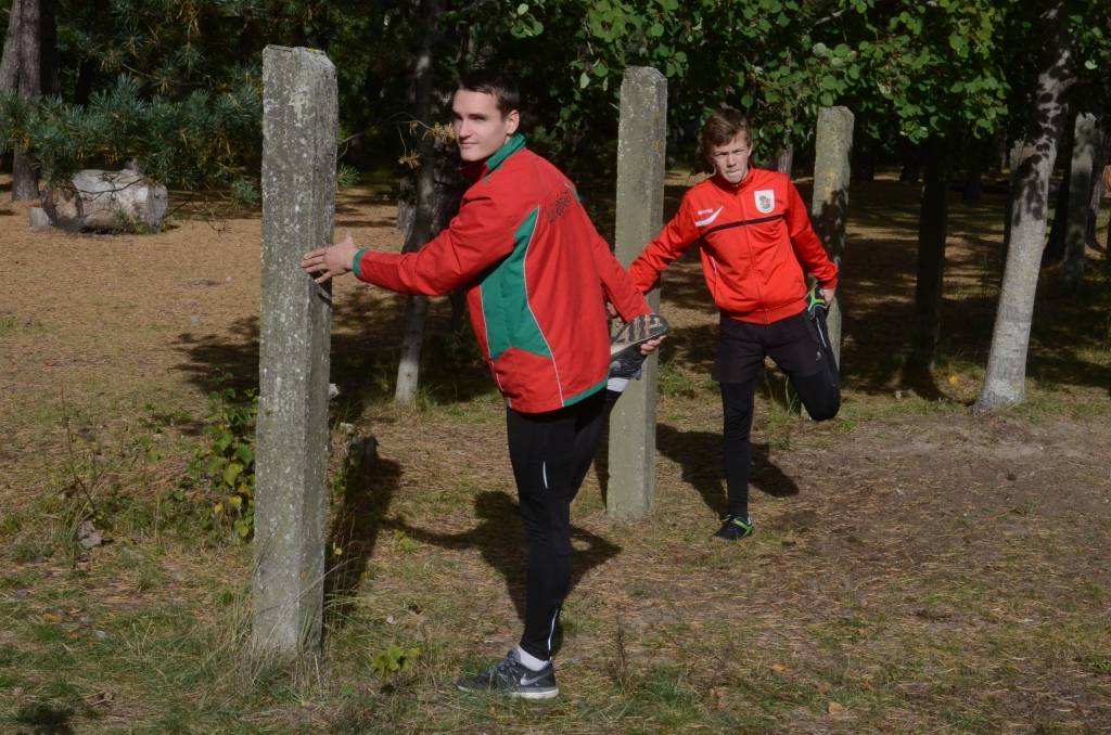 Autors: Uldis Dobelis