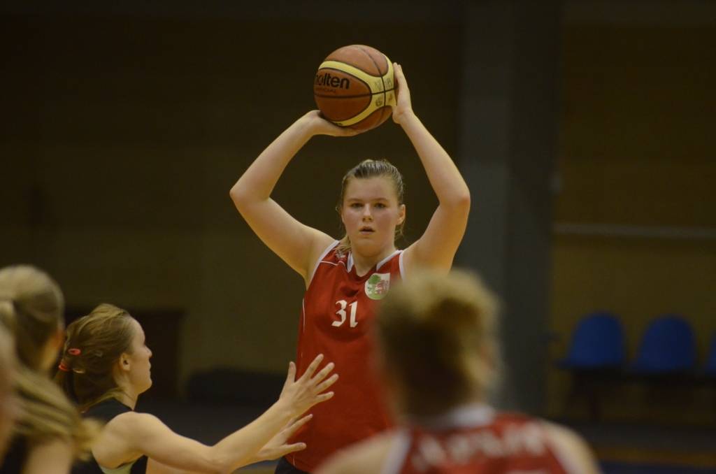 Autors: Uldis Dobelis