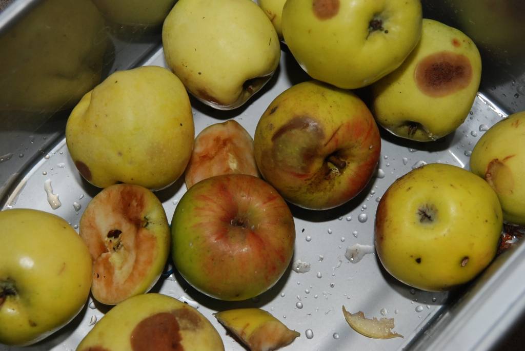 Autors: Dainis Ģelzis