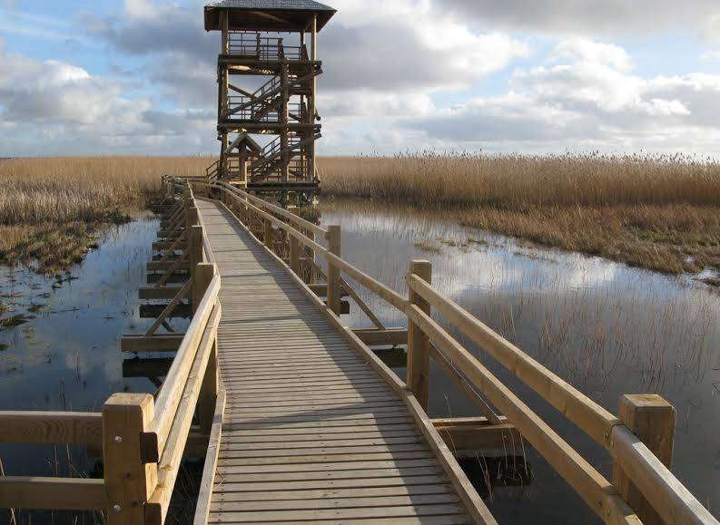 Autors: Andris Maisiņš