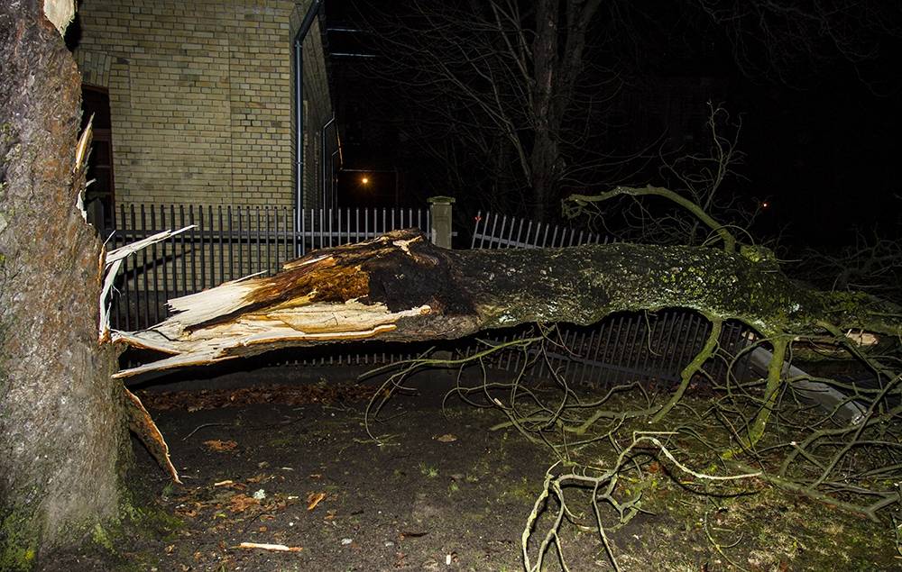 Autors: www.liepaja.lv