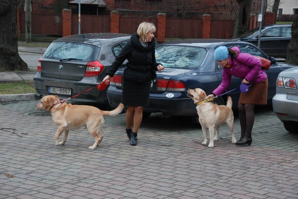 Autors: Dainis Ģelzis