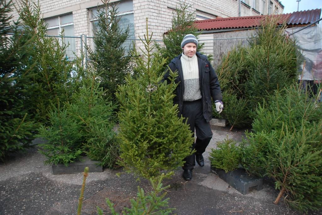 Autors: Dainis Ģelzis