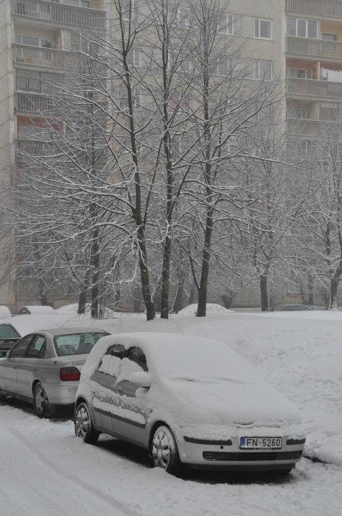 Autors: Dainis Ģelzis