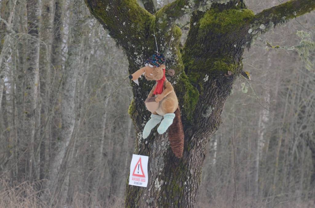 Autors: Uldis Dobelis