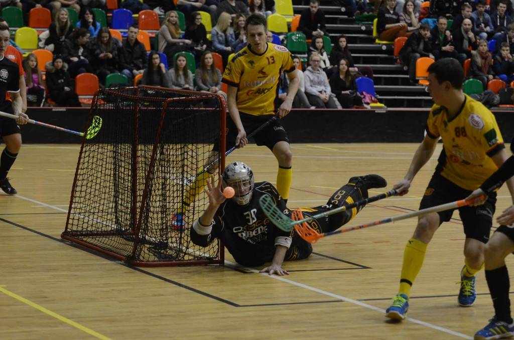 Autors: Uldis Dobelis