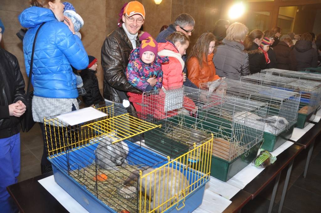 Autors: Dainis Ģelzis