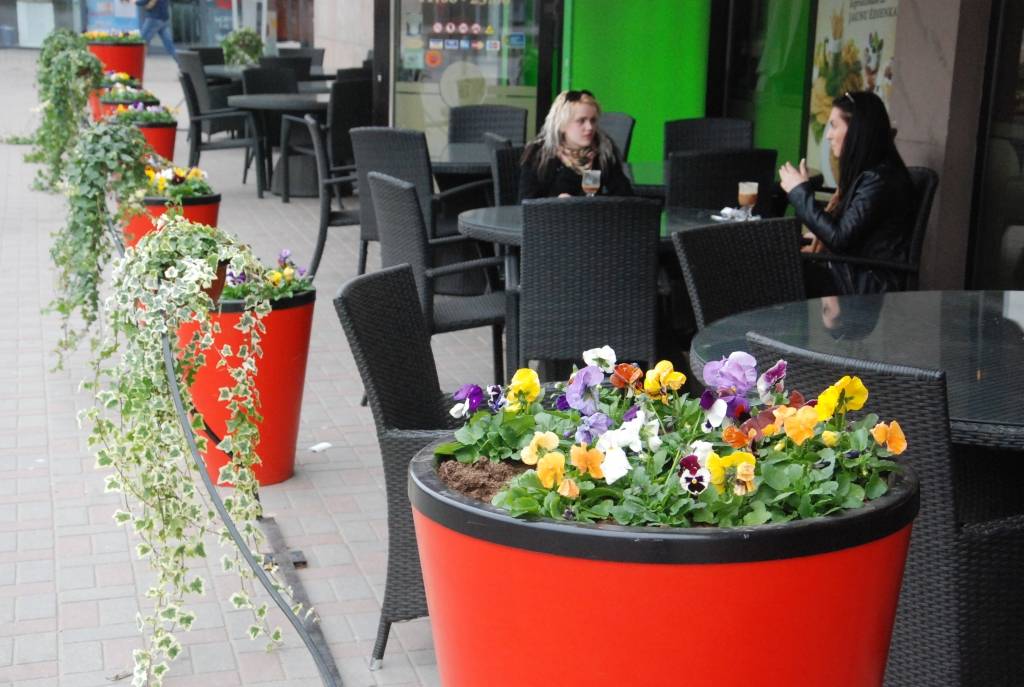 Autors: Uldis Dobelis