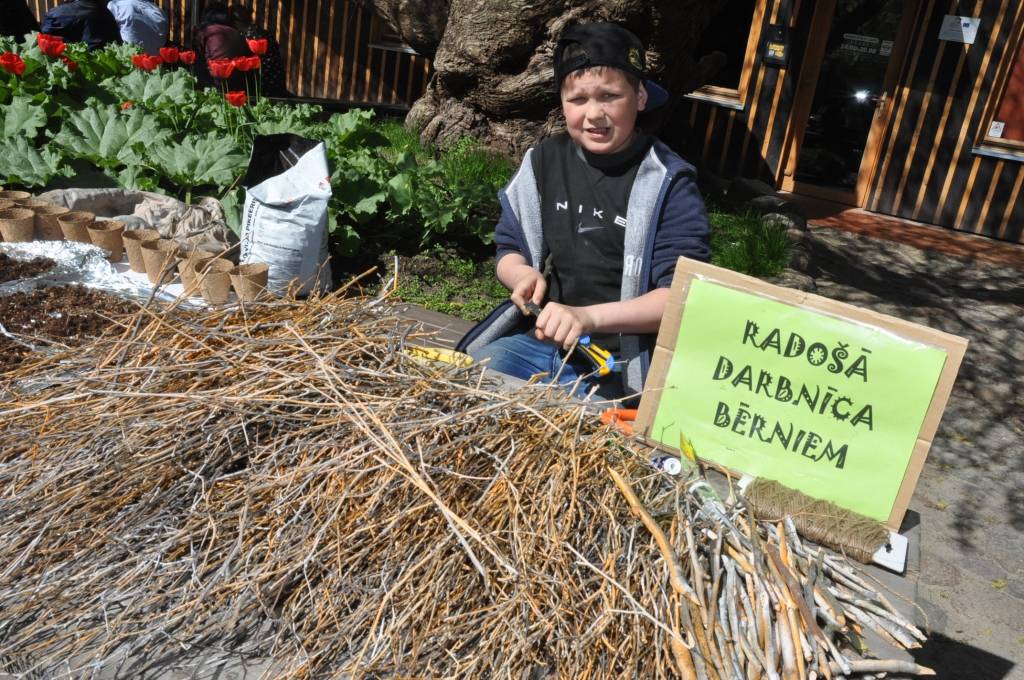 Autors: Dainis Ģelzis