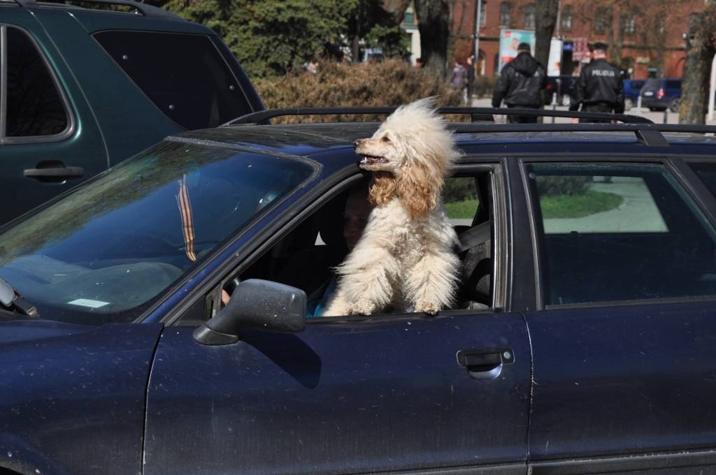 Autors: Dainis Ģelzis