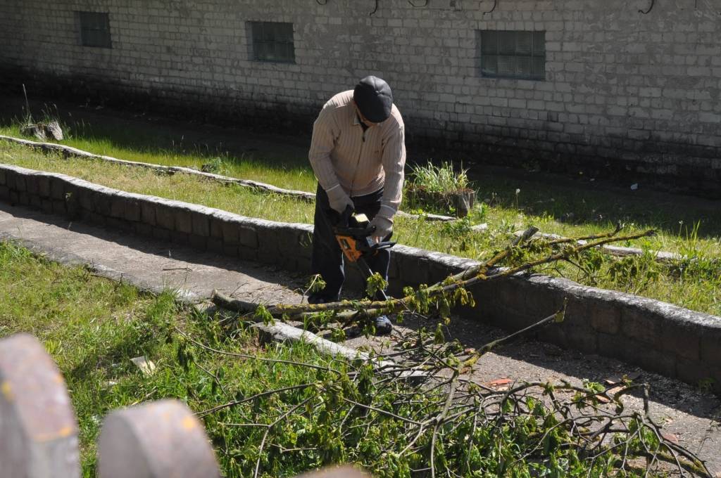 Autors: Dainis Ģelzis