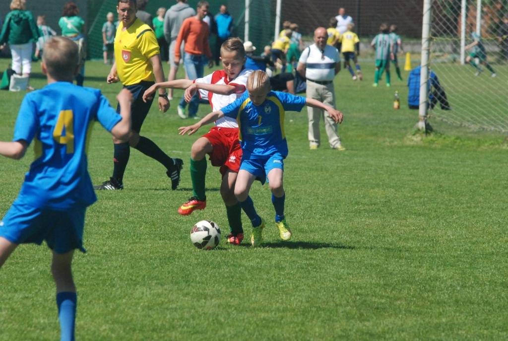 Autors: Uldis Dobelis