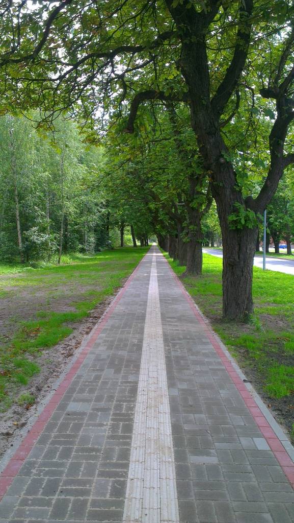 Grausti un drazu kaudzes novāktas. Karostas rajons ap manēžu, kur pērn vēl bija ar krūmiem aizaugušas teritorijas, pārvērties – no jauna izbūvētas ielas, nepieciešamā apakšzemes un virszemes infrastruktūra, iestādīti jauni kociņi, sakārtoti zālieni.
Autors: Aigars Štāls