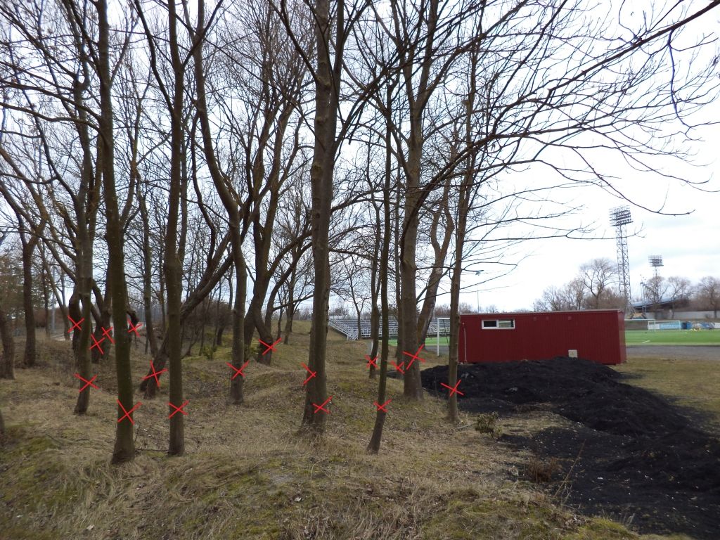 Autors: www.liepaja.lv
