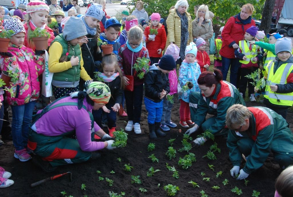 Aluksniesiem.lv raksta attēla aizvietotājs