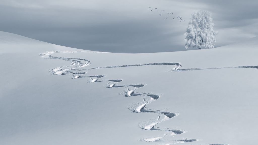 Autors: Pixabay