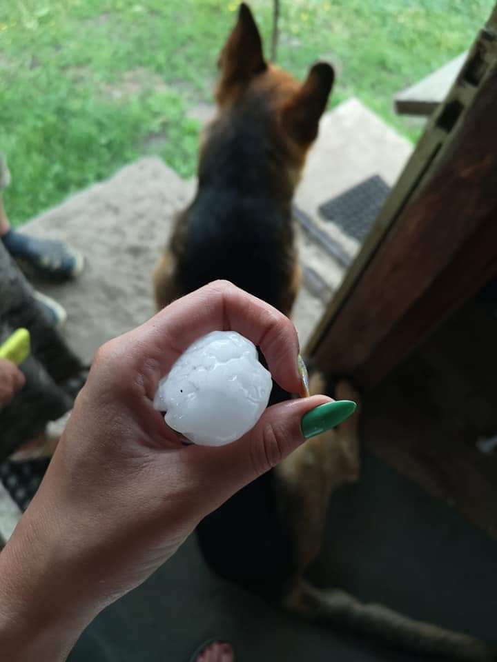 Krusa ĪvandēKrusa Īvandē..
Autors: Anta Lībiete
