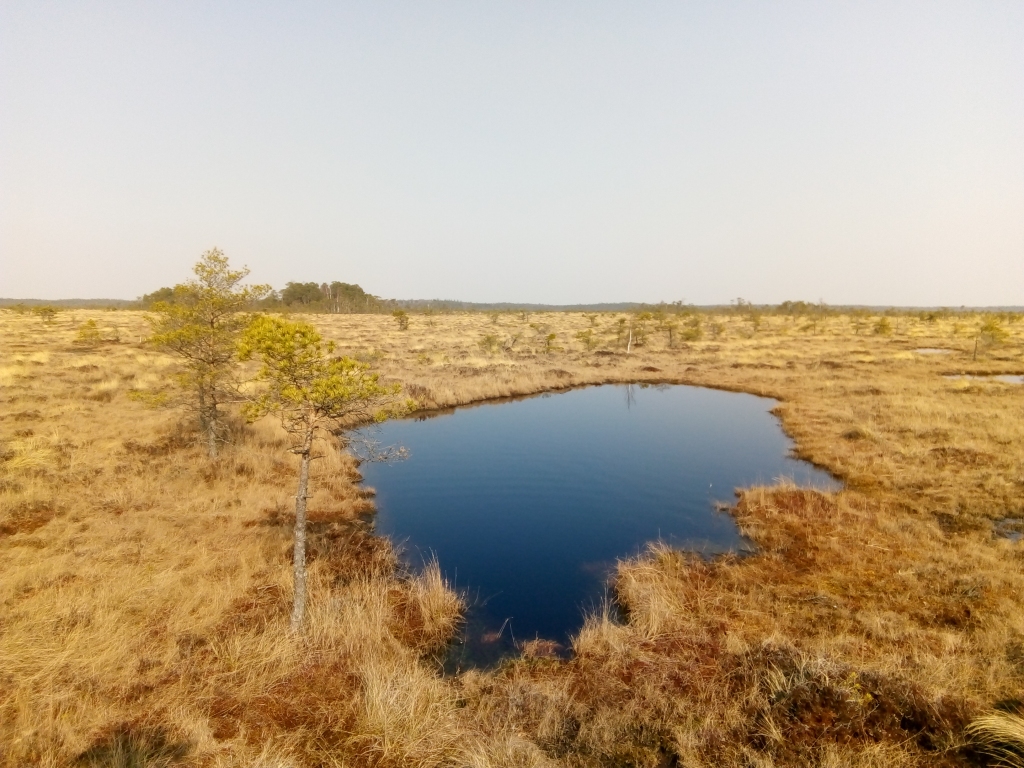 Autors: Uldis Dobelis