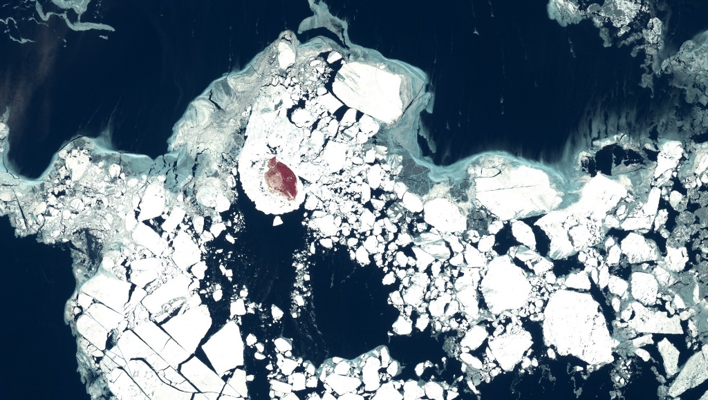 Autors: Publicitātes foto