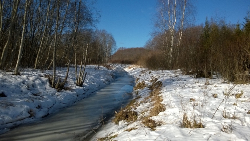2019. gads. Meirupīte 25. februārī.
Autors: No Viļa Bukša arhīva