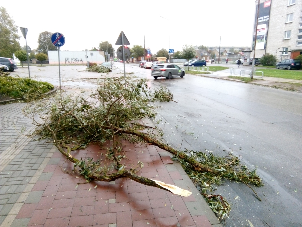 Ilustratīvs foto
Autors: Uldis Dobelis