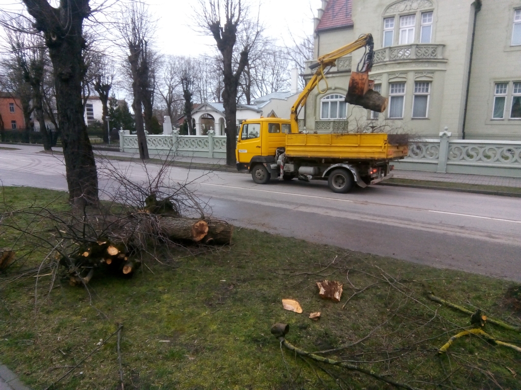 Autors: Uldis Dobelis