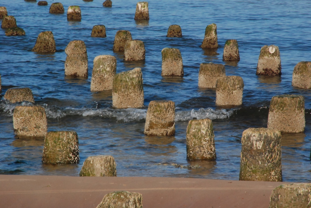 Autors: Dainis Ģelzis