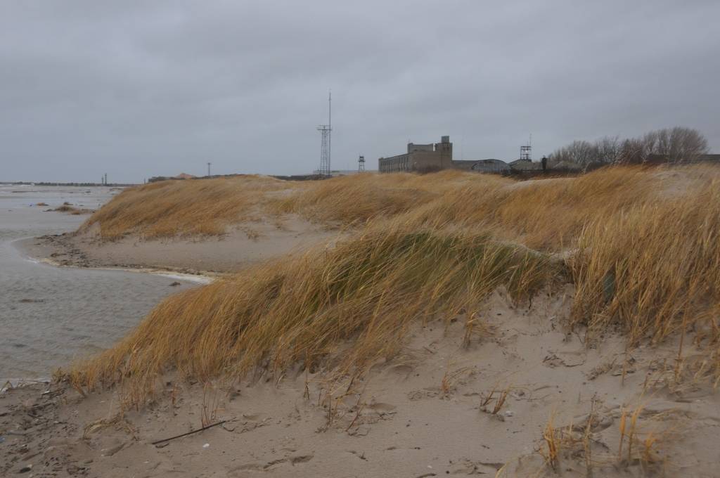 Autors: ReKurZeme, portāls