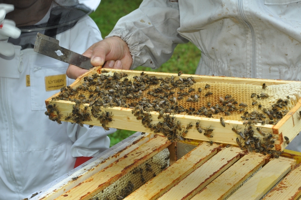 Autors: Dainis Ģelzis
