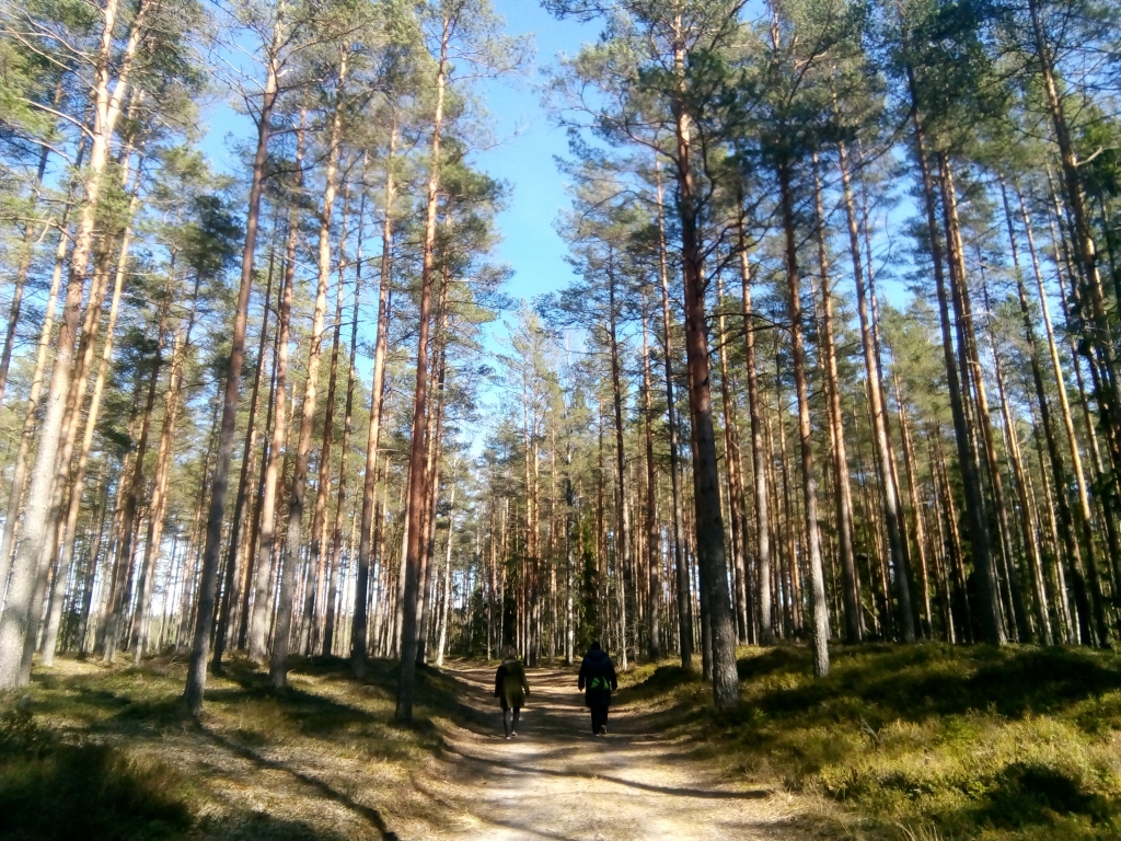 Autors: Uldis Dobelis