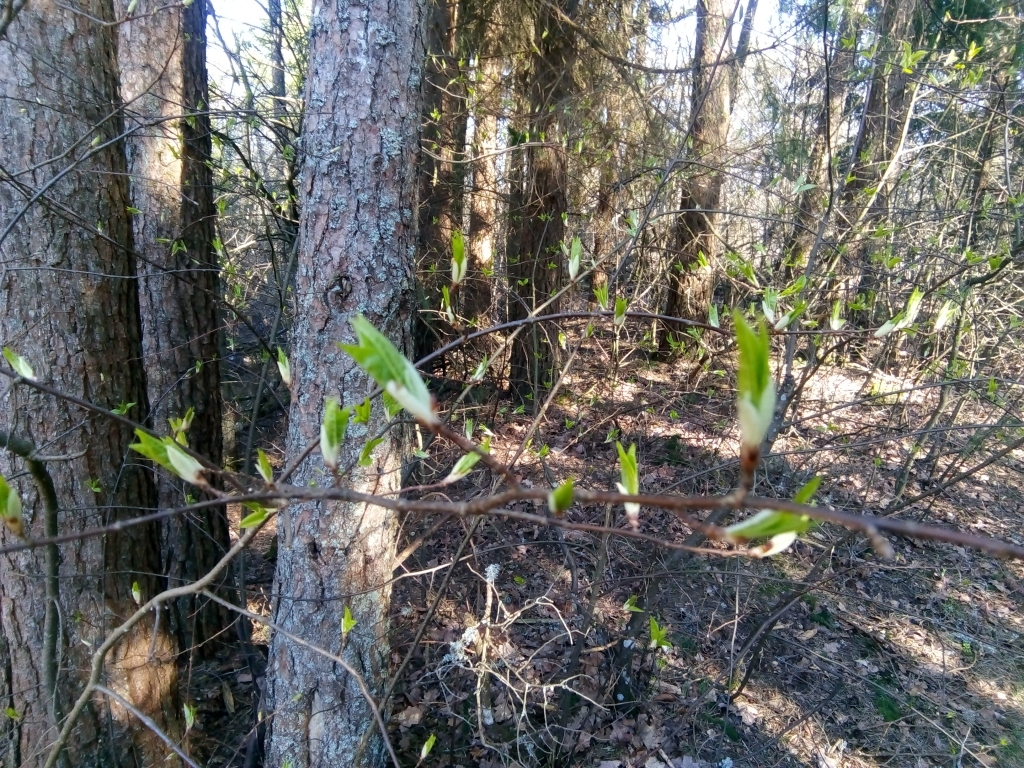 Autors: Uldis Dobelis