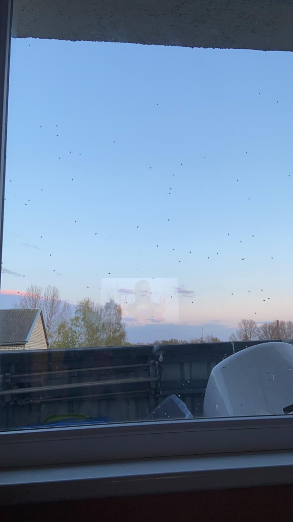 Autors: Aculiecinieka foto