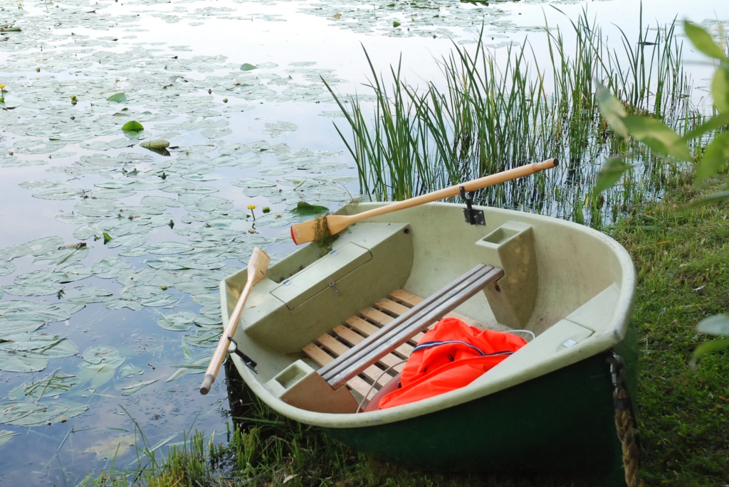 Autors: Dainis Ģelzis