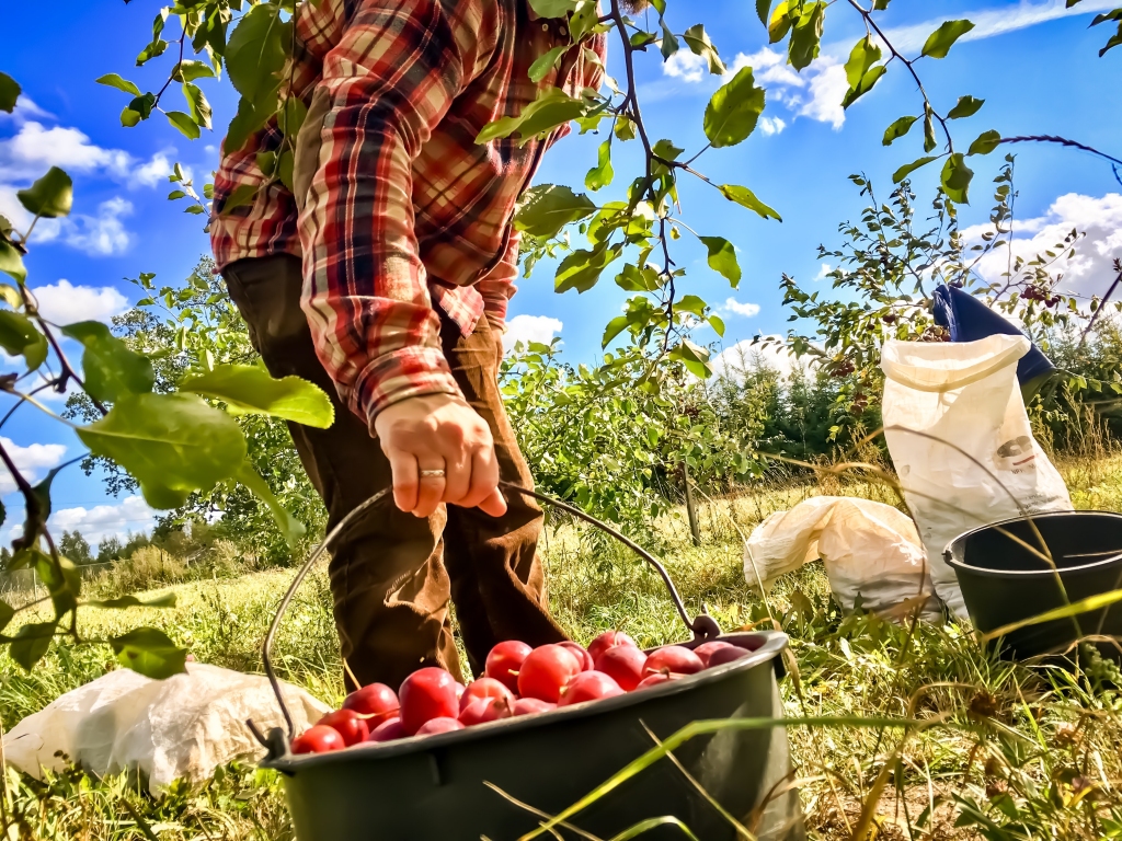 Autors: Publicitātes foto