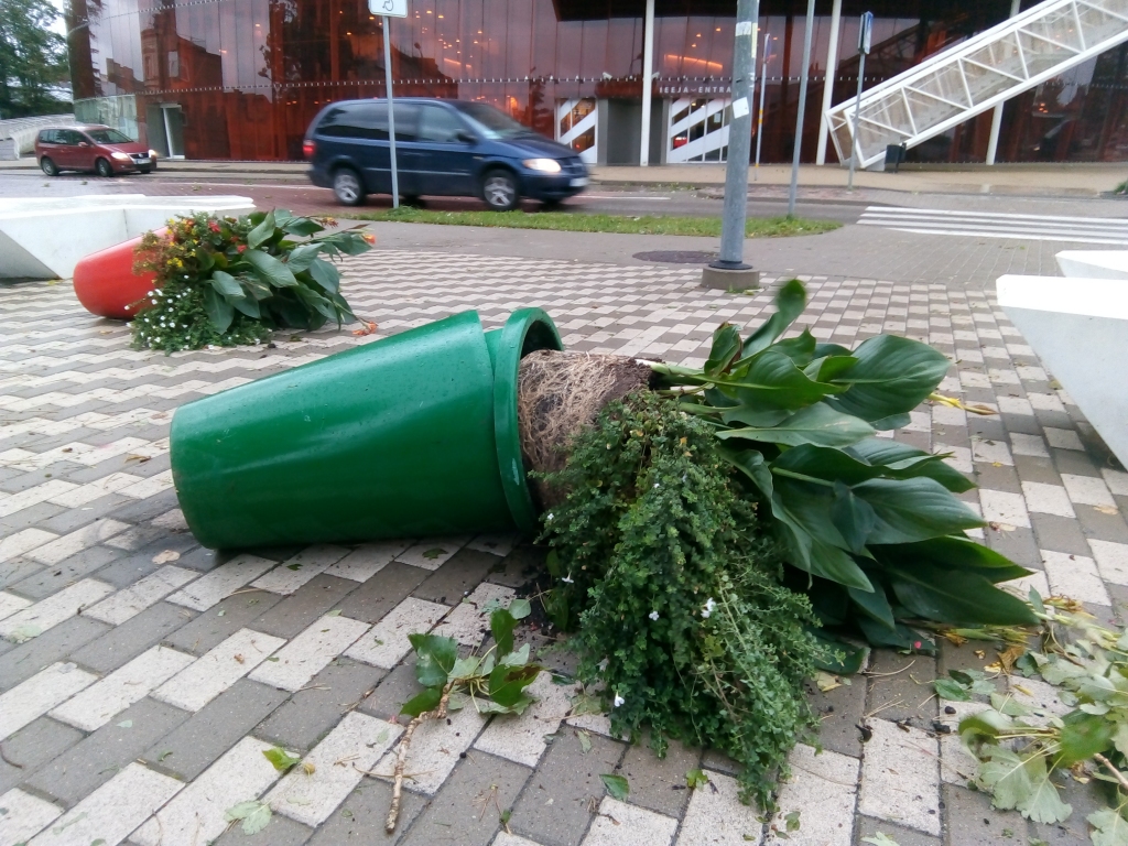 Autors: Uldis Dobelis