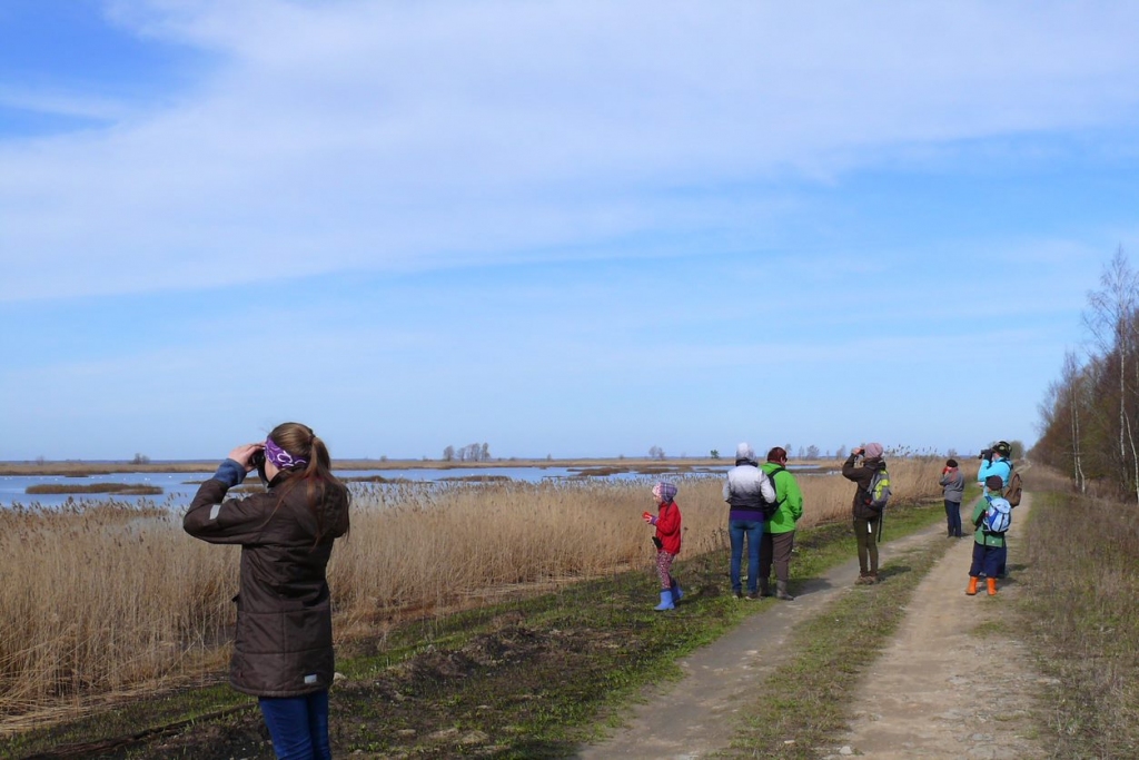 Autors: Publicitātes foto