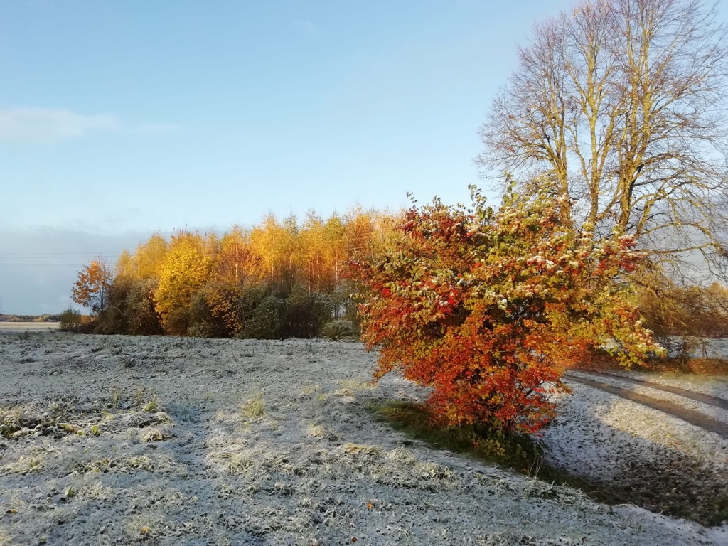 Gaujiena.
Autors: Facebook.com/Ilva Harkina