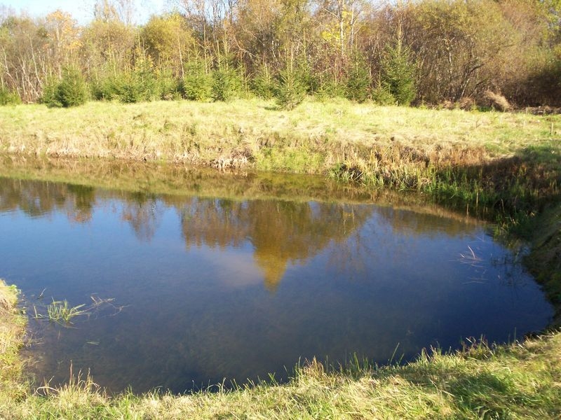 2010. gada 7. oktobris.