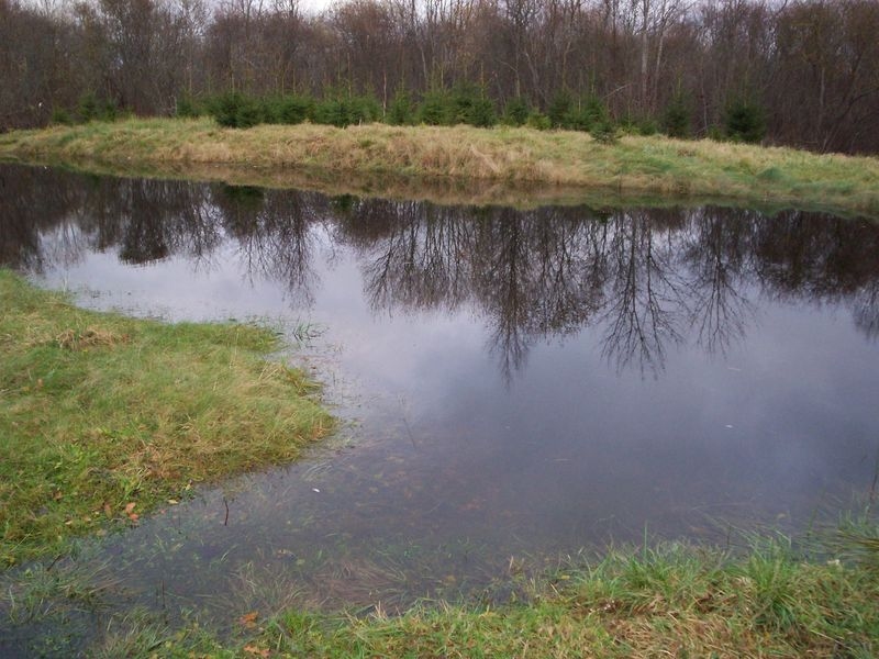 2009. gada 30. oktobris.