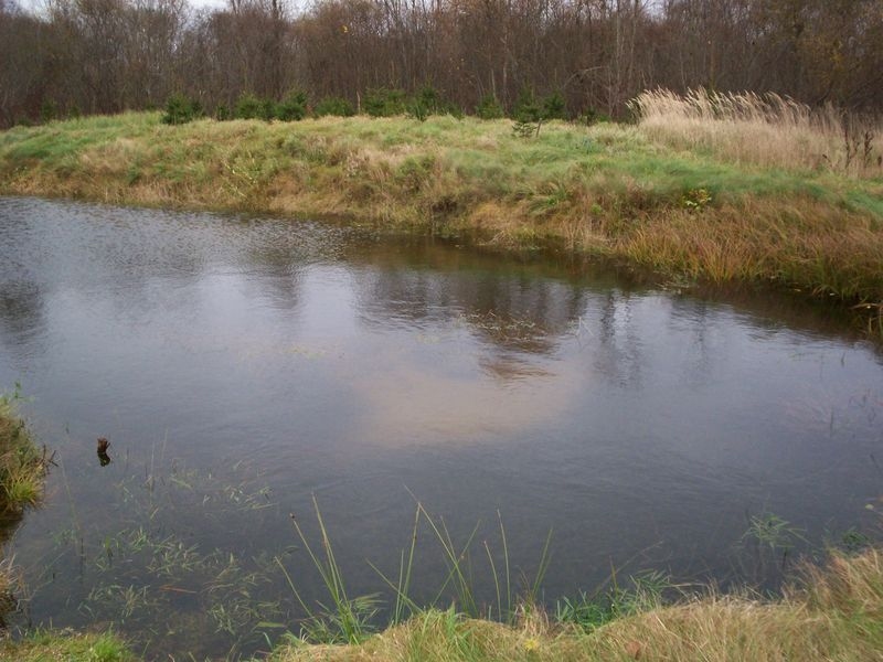 2008. gada 26. oktobris.