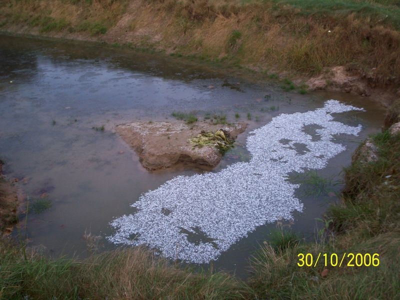 2006. gada 30. oktobris.